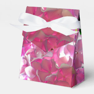 Radialrosa Hydrangeas, rosa Blume, rosa Blume Geschenkschachtel