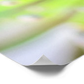 Radiance in Bloom: Morning Agapanthus Poster (Ecke)