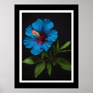 "Radiant Blue: Hibiskus Blume gegen Schwarz Poster