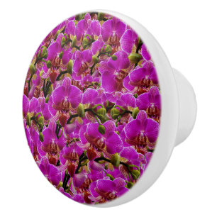 Radiant Clusters: Die Magenta Orchid Symphonie, Keramikknauf