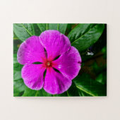 Radiant Memory Bloom | Magenta Vinca Botanical Puzzle (Horizontal)
