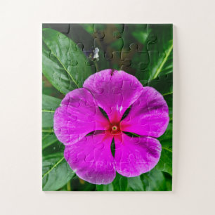 Radiant Memory Bloom Magenta Vinca Botanical Puzzle
