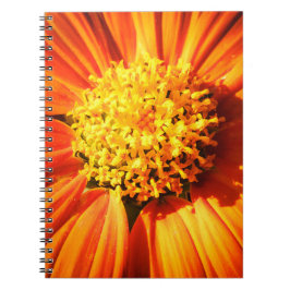 Radiant Orange Flower Macro Notebook Nature Photo Notizblock