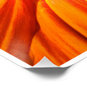 Radiant Orange Flower Macro Wall Art Print Photo Poster (Ecke)