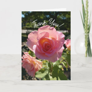 Radiant Pink Tee Rose Danke Karte