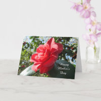 Radiant Red Camellia - Benutzerdefinierte Mutterta