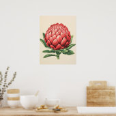 Radiant Red Protea Blossom Poster (Küche)