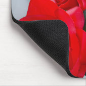 Radiant Rose Mousepad (Ecke)