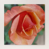 Radiant Rose – Petals in Harmony Puzzle (Horizontal)