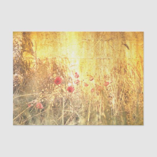 Radiante Körnerfelder mit roten Papeln Seidenpapier (Vorderseite)