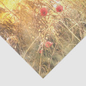 Radiante Körnerfelder mit roten Papeln Seidenpapier (Ausschnitt)