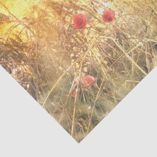 Radiante Körnerfelder mit roten Papeln Seidenpapier (Ausschnitt)