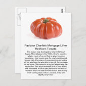 Radiator Charlie - Mortgage Lifter Heirloom Tomato Postkarte (Vorne/Hinten)