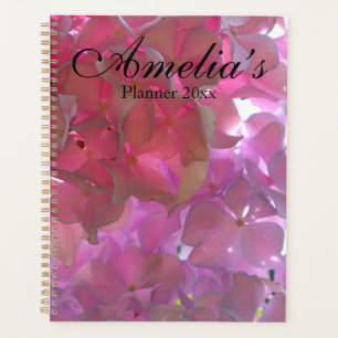 Radierrosa Hydrangeas, rosa Blume, blumenreich Planer