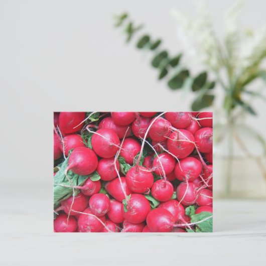 Radieschen Postkarte (Stehend Vorderseite)