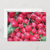 Radieschen Postkarte (Vorne/Hinten)