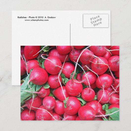Radieschen Postkarte (Vorne/Hinten)