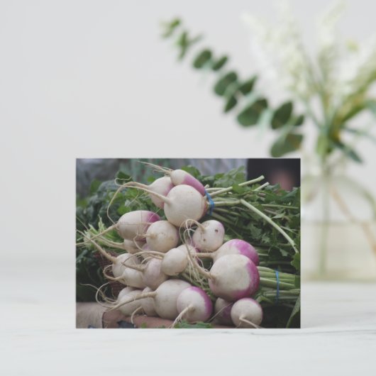 Radieschen Postkarte (Stehend Vorderseite)