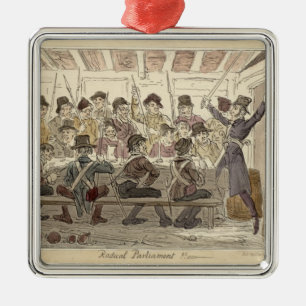 Radikales Parlament!! " Silbernes Ornament