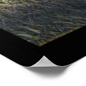 Radiografen Poster (Ecke)