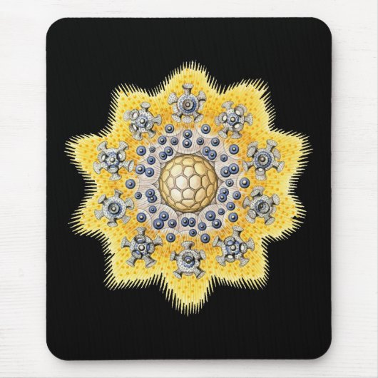 Radiolaria Mousepad (Vorne)