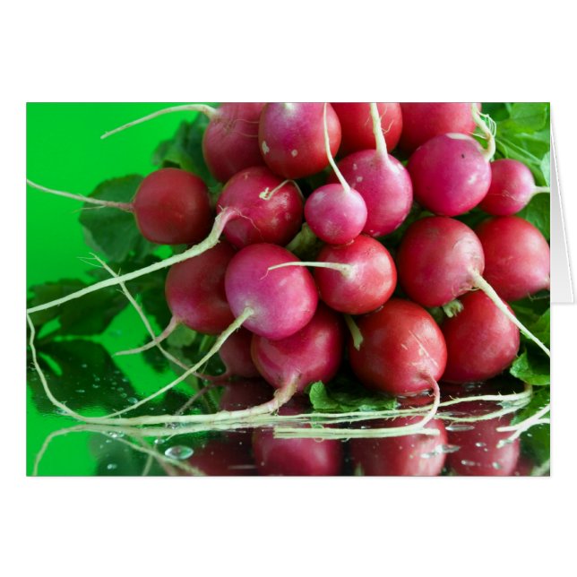 Radish (Vorderseite (Horizontal))