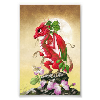 Radish Dragon 4x6 Print Fotodruck
