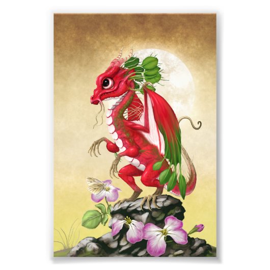 Radish Dragon 4x6 Print Fotodruck (Vorne)