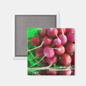 Radish Magnet (Vorderseite/Rückseite)
