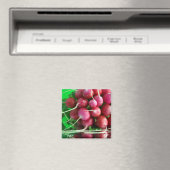 Radish Magnet (In Situ (Geschirrspüler))