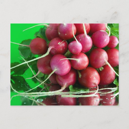 Radish Postkarte (Vorderseite)