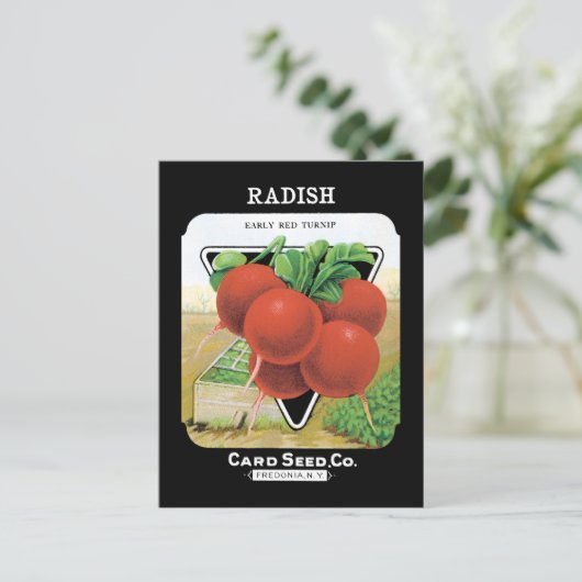 Radish Seed Pack Postkarte (Stehend Vorderseite)