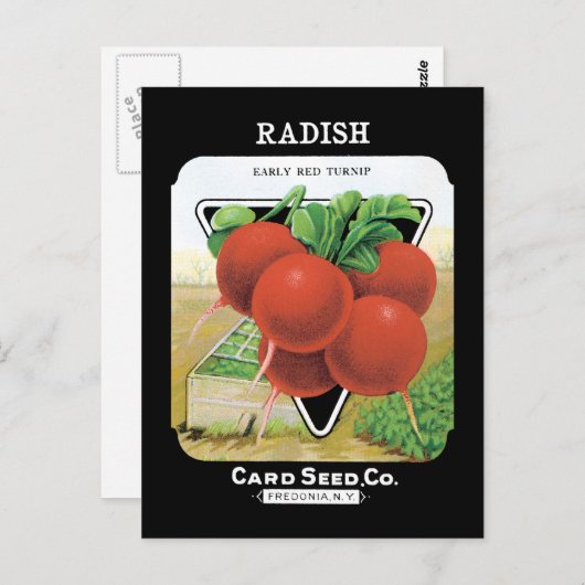 Radish Seed Pack Postkarte (Vorne/Hinten)