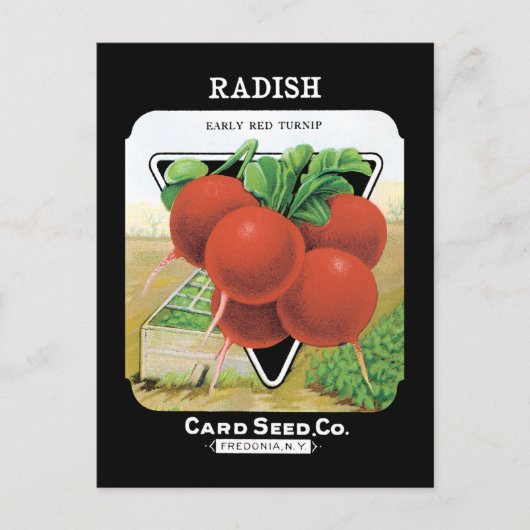 Radish Seed Pack Postkarte (Vorderseite)