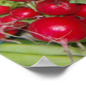 Radishes Poster (Ecke)