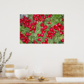 Radishes Poster (Küche)