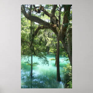 Radium-Frühlinge entlang Feuerstein-Fluss GA Poster