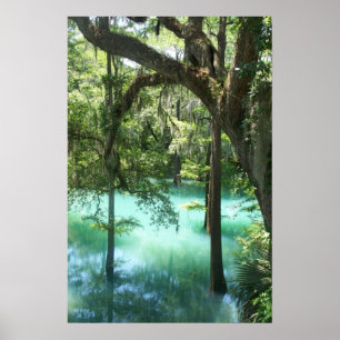 Radium-Frühlings-Schönheit Poster