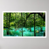 Radium Spring, Albany, Georgia Poster (Vorne)