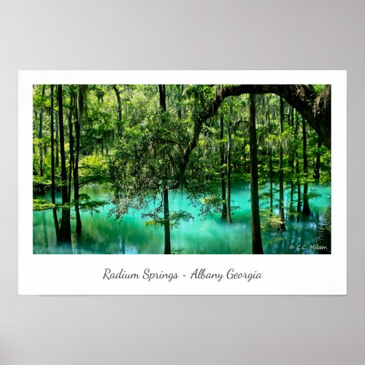 Radium Springs ~ Albany Georgia Poster (Vorne)
