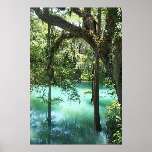 Radium Springs Beauty Poster (Vorne)