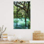 Radiumsprings am Flint River GA Poster (Küche)