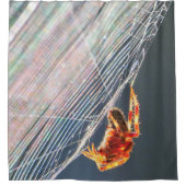 Radnetzspinne im Netz Duschvorhang (Vorderseite)