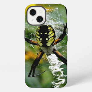Radnetzspinne im Netz iPhone Hülle