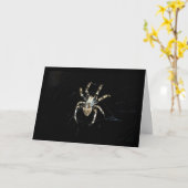 Radnetzspinne Karte (Gelbe Blume)