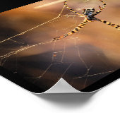 Radnetzspinne mit Bändern Poster (Ecke)