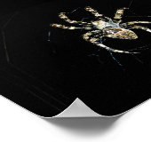 Radnetzspinne Poster (Ecke)