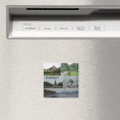 Radolfzell, Radolfzell, Bodensee Magnet (In Situ (Geschirrspüler))