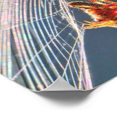 Radspinne im Netz Poster (Ecke)