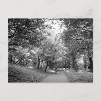 Radweg - B&W Postkarte